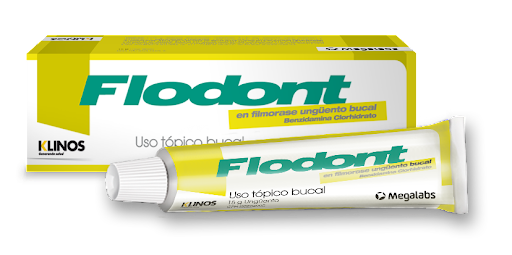 FLODONT UNGUENTO BUCAL X 15 G