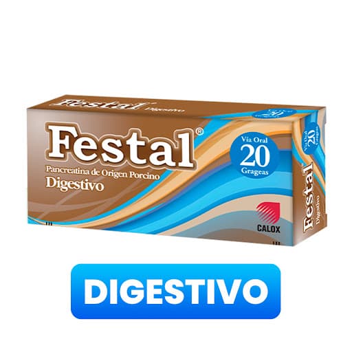 FESTAL X 20 GRAG