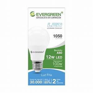 BOMBILLO EVERGREEN LED 1050/12W/100W