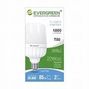 BOMBILLO EVERGREEN LED 1800/20W/150W