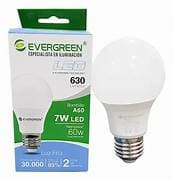 BOMBILLO EVERGREEN LED 630/7W/60W