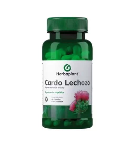 CARDO LECHOZO 370MG X 30CAP HERBAPLANT