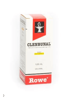 CLENBUNAL JBE PEDIATRICO X 120 ML