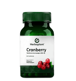 CRANBERRY 500MG X 30CAP HERBAPLANT