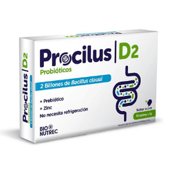 PROCILUS D2 1GR X 10SOBRES PHARMETIQUE