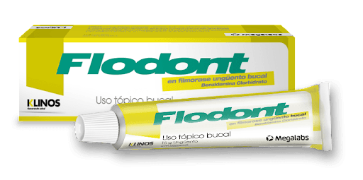FLODONT UNGUENTO BUCAL X 15 G