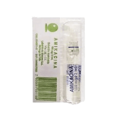 AMIKACINA 100MG AMPOLLA X 1 BIOSANO