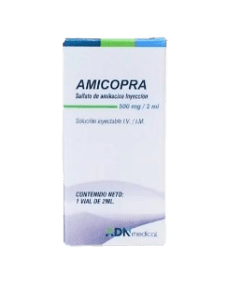 AMIKACINA AMICOPRA 500MG/2ML I.V I.M X 1
