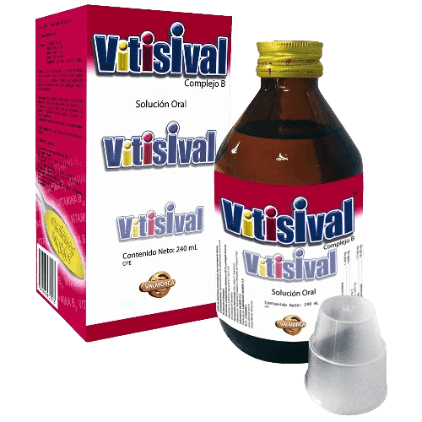 VITISIVAL X 240ML SOL ORAL