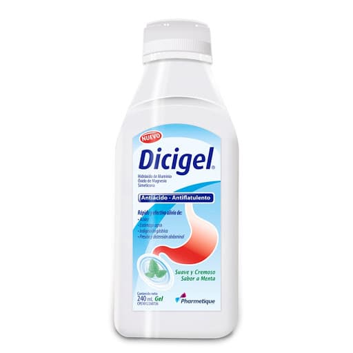 DICIGEL 240 ML GEL