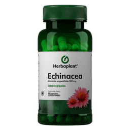 ECHINACEA X 60CAP HERBAPLANT