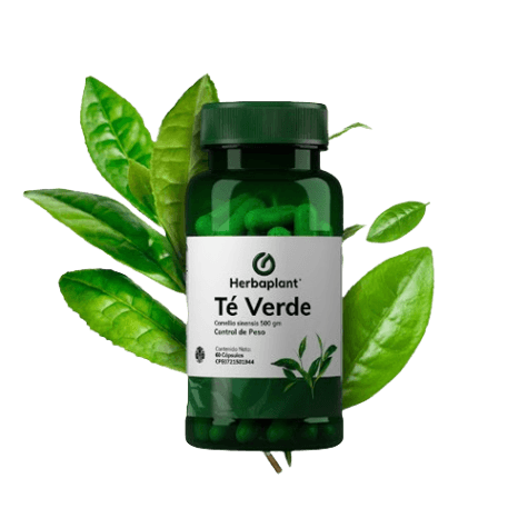 TE VERDE X 60CAP HERBAPLANT