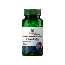 SULFATO DE GLUCOS+CHONDROITIN X30CAP HER