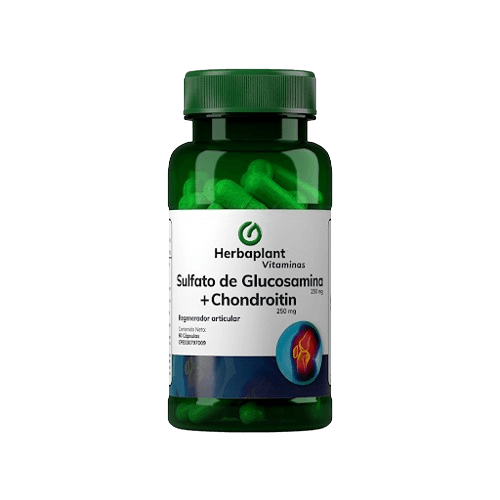 SULFATO DE GLUCOS+CHONDROITIN X30CAP HER