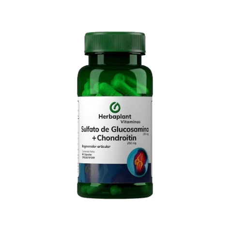 SULFATA DE GLUCOSAMINA+CHOND X 60CAP HER
