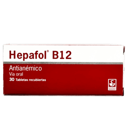 HEPAFOL B12 X 30TAB