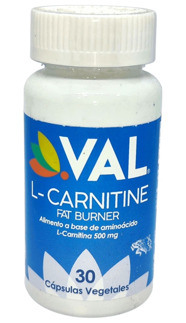 L-CARNITINE 500MGX30 TAB VAL
