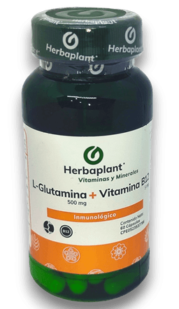 L-GLUTAMINA+VITAMINA B12 500MG/5MG