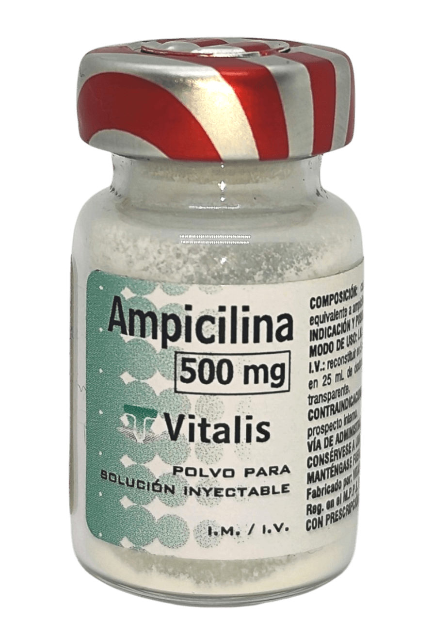 AMPICILINA VITALIS 500MG X 1AMP IM/IV
