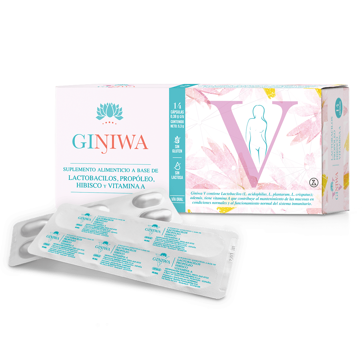 GINIWA V X 14CAPS